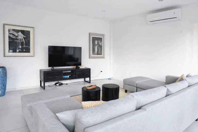 modern living room with sleek decor